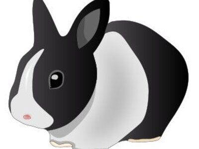 Image of Rabbits 2021-2022